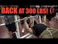 DAILY GAINS! | 300 Pound Bench Press | Sushi Talk!