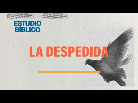 Hechos 20 | La despedida | Randall y Alexandra González