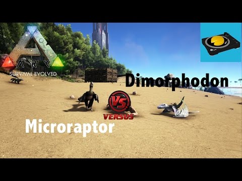 ARK INSIGHT!! -- Microraptor V.S Dimorphodon