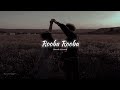 Rooba Rooba Song Perfectly Slowed Orange