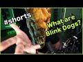 What is a Blink Dog in D&D?