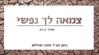 עמיר בניון