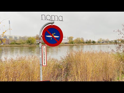 Noma 2.0 ・ Noma's Game & Forest Season　2019