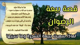Download lagu SEJARAH UMROH DAN PEMBAIATAN DI BAWAH POHON RIDWAN SERTA PEJANJIAN HUDAIBIYYAH UST ABU HUMAIROH mp3