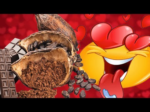 I'M IN LOVE WITH THE COCOA | Hitman 2 # 10