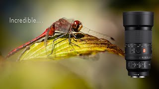 Sony 100mm f/2.8 GM Macro OSS Lens Review - Alien World Access Granted!