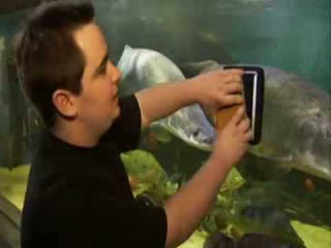 John Marcus Monstrous 10,000 Gallon Aquarium