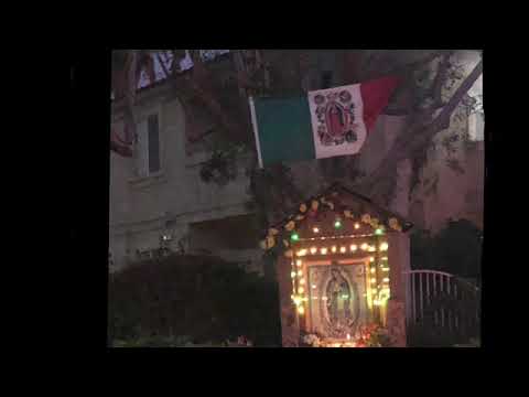 BLAZE DAILY KREW-SSXGG