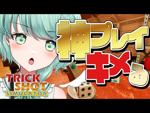 【 TrickShot Simulator 】神プレイキメる