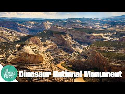 Dinosaur National Monument: A Giant Fossil Graveyard