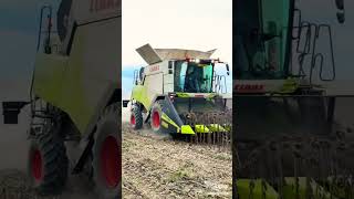 Download lagu #Iro Baaxoh Buqreh Maashiinitte #Sirray Gaaboyse# mp3 Download lagu #Iro Baaxoh Buqreh Maashiinitte #Sirray Gaaboyse# mp3