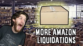Spent $737 Worth $3,478 of Amazon Liquidations!