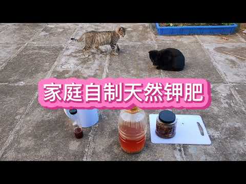 天然鉀肥有哪些