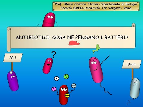 Come trattare un ratto da parassiti Controllo su parassiti il più efficace