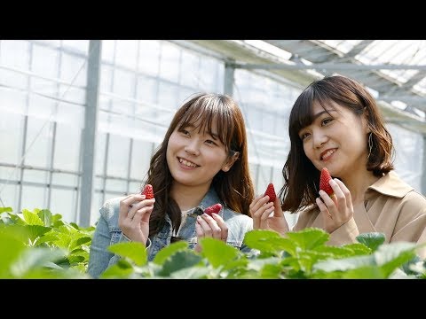 神戸女子大学 スマイルナビVol.68 メイキング