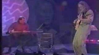 Ryo Kawasaki - I Like the Way You Are