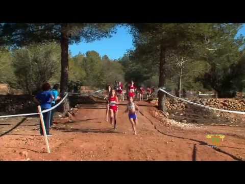 11/01/15 – Más de 700 corredores participaron el I Cross “Villa de La Nucía”