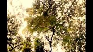 I Know  Sharon Van Etten