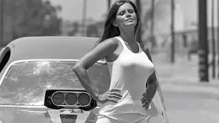 What Happened to Jungle Pam Hardy The Heartthrob of Drag Racing!