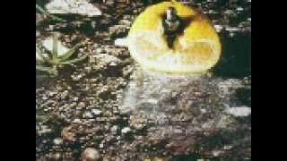 31 Dicembre 1999 - ore 9 - (Franco Battiato- Pollution 1973)