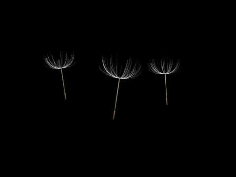 "Never Be Apart" - Nikonn feat. MeLLLo