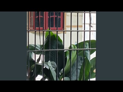 When Will this all end