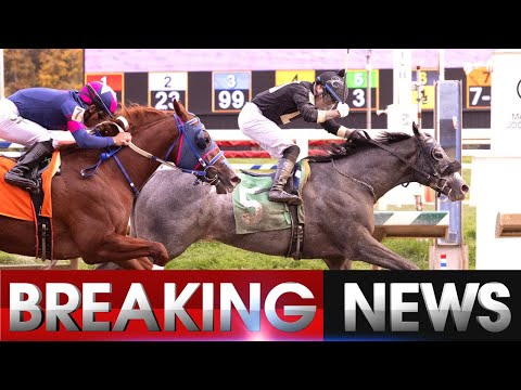 Tartabull Set for $125,000 Juvenile Stakes at Laurel Park। SportsPulse Network