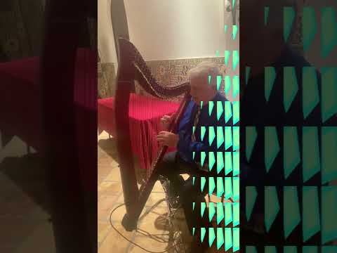 Promotional video thumbnail 1 for Ricky Harpo