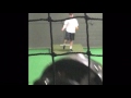 Pitching Video