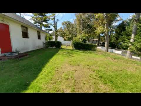 Over seed time lapse. Day 1, 7 , 11, 17.
