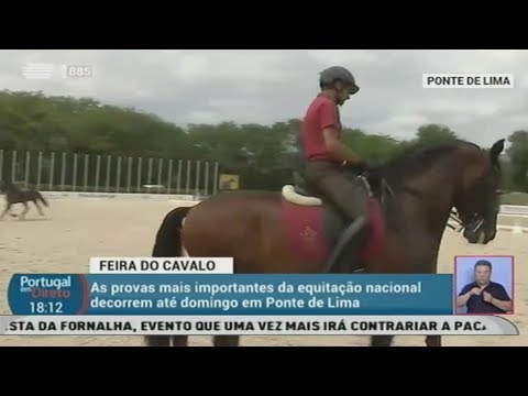 Reportagem do 'Portugal em Direto' sobre a XI Feira do Cavalo de Ponte de Lima - Parte II