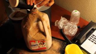 Chocolate Milk Paradise