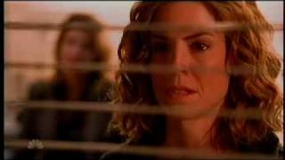 Virginia Schneider, NBC series \