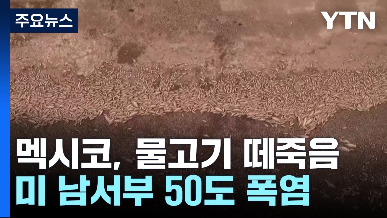 멕시코, 이상고온에 물고기 떼죽음...美 남서부 '50도 폭염' 비상