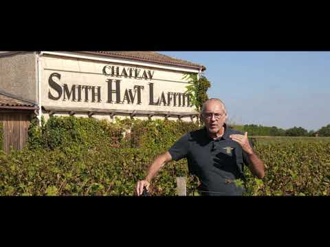 Château Smith Haut Lafitte - Interview Fabien Teitgen | drone of visuals