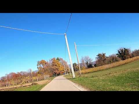 Sul Montello con il Forty-Eight 1200 Harley-Davidson