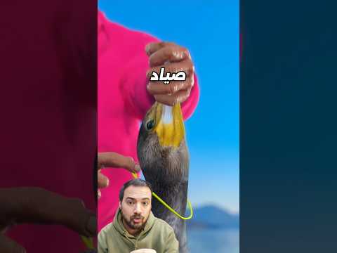 كان بينزل المياة عشان يصطاد السمك ويطلع تاني