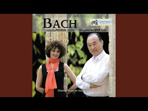 Sonate pour harpe in G Major, H 563: I. Adagio un poco