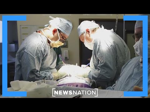 'Disturbing' organ donation practices spur federal reform | Morning in America | Morning in America