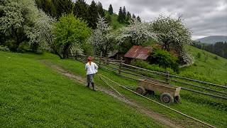Download lagu Life Without Roads in an Isolated Mountain Village in Eastern Europe mp3