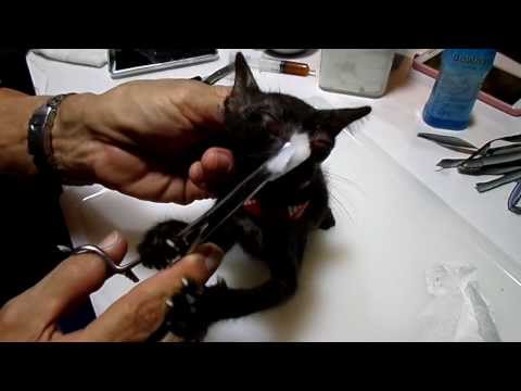 เตรียมซิลิกาสำหรับโรคสะเก็ดเงิน กลากบนผิวหนังแล้วว่ารูปนี้