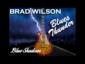 Brad Wilson - Blue Shadows