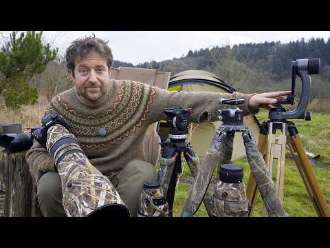 Best Tripod Head for Wildlife Photography - if I could only choose one.