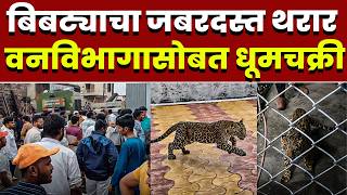 बिबट्याचा जबरदस्त थरार; वनविभागासोबत धूमचक्री