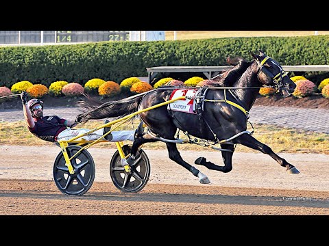 Race 20 The Little Brown Jug Grade 1 Final Delaware OH Sept 18, 2025 : Louprint (1:50:1)