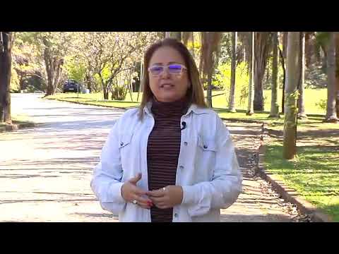 Saúde e Bem Estar : Crianças e Cigarro/Tempo no Celular/Desdentados 07/09/2018