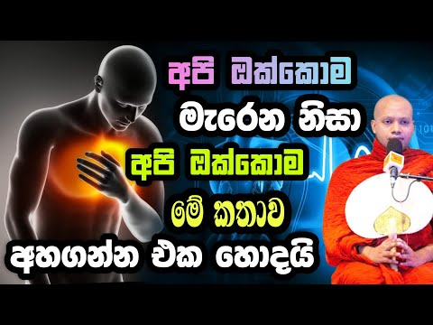 අපි ඔක්කොම මැරෙන නිසා අපි ඔක්කොම මේ කතාව අහගන්න එක හොදයි.Hasalaka Seelawimala.හසලක සීලවිමල හිමි