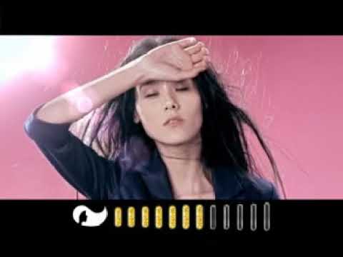 New Cream Silk Vitamin Treatment "Evolution" TVC 30s 2011