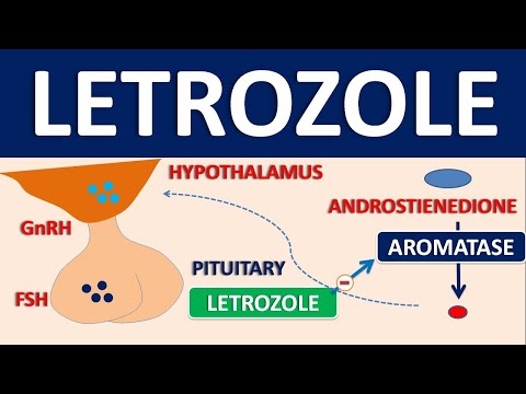 Letrozole Tablet IP