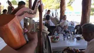 P4130336 - tim porter - sat april 13, 2013 - mandolin jam at los pelicanos in puerto morelos